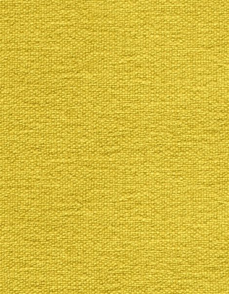 Tkanina Ginkgo Biloba 06