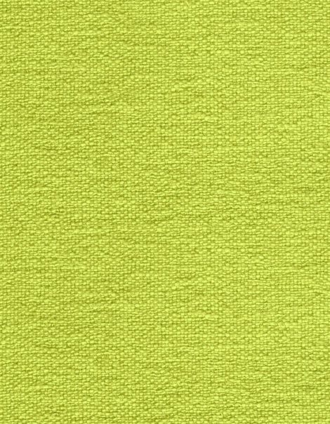 Tkanina Ginkgo Biloba 07