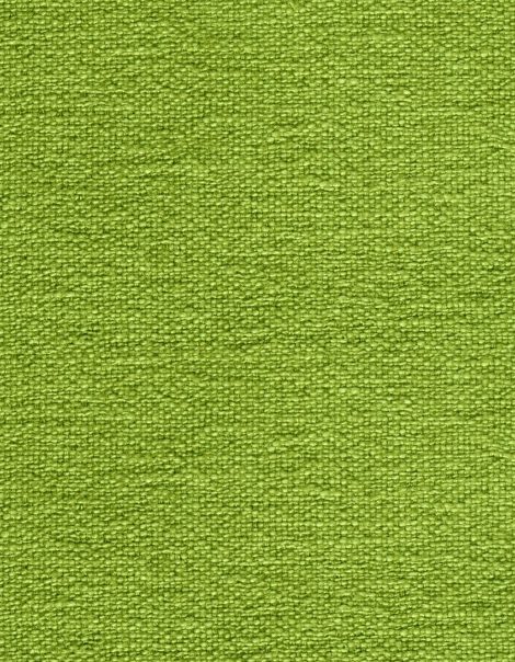 Tkanina Ginkgo Biloba 08