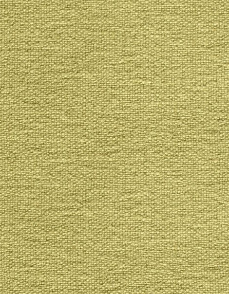 Tkanina Ginkgo Biloba 09